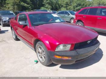  Salvage Ford Mustang