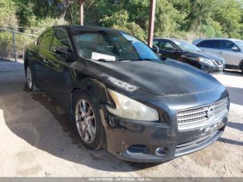  Salvage Nissan Maxima