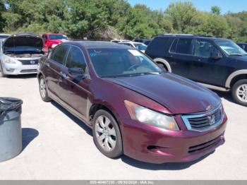  Salvage Honda Accord