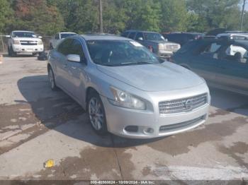  Salvage Nissan Maxima