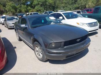  Salvage Ford Mustang