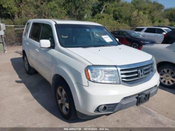  Salvage Honda Pilot