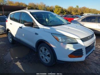  Salvage Ford Escape