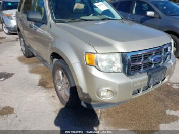  Salvage Ford Escape