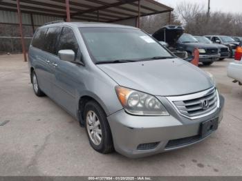  Salvage Honda Odyssey