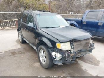  Salvage Ford Escape