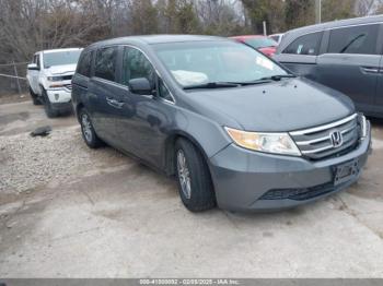  Salvage Honda Odyssey