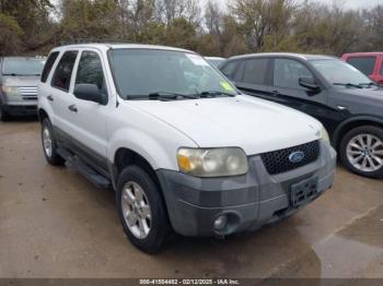  Salvage Ford Escape