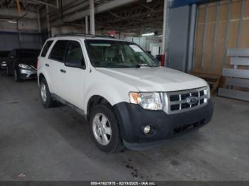  Salvage Ford Escape