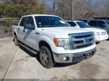  Salvage Ford F-150