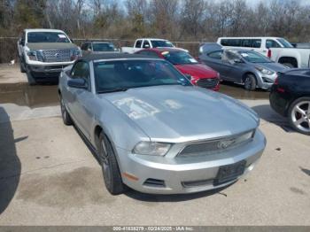  Salvage Ford Mustang