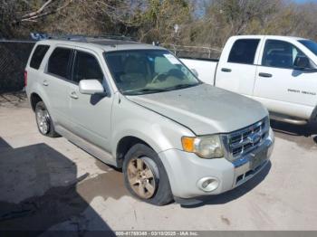  Salvage Ford Escape