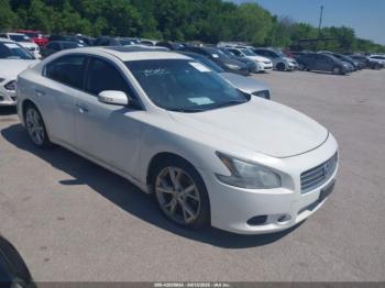  Salvage Nissan Maxima