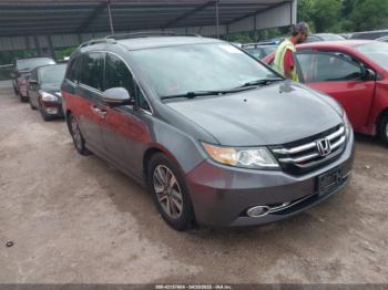  Salvage Honda Odyssey