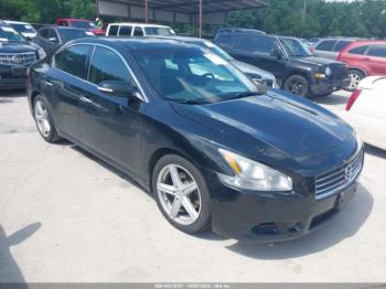  Salvage Nissan Maxima