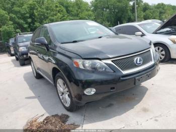  Salvage Lexus RX