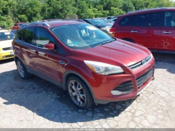  Salvage Ford Escape