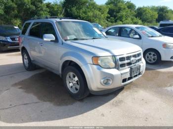  Salvage Ford Escape