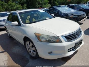  Salvage Honda Accord