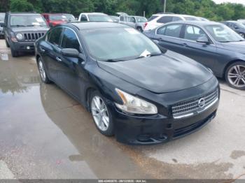  Salvage Nissan Maxima