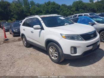  Salvage Kia Sorento