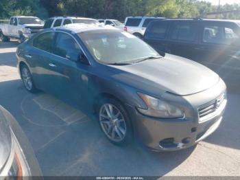  Salvage Nissan Maxima