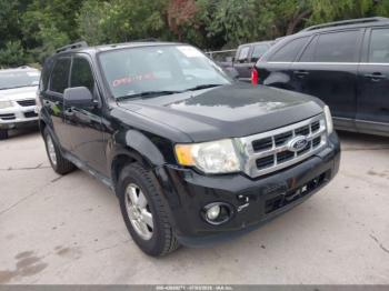  Salvage Ford Escape