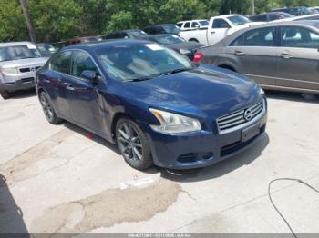  Salvage Nissan Maxima