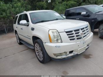  Salvage Cadillac Escalade