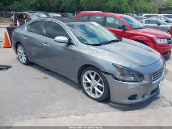  Salvage Nissan Maxima