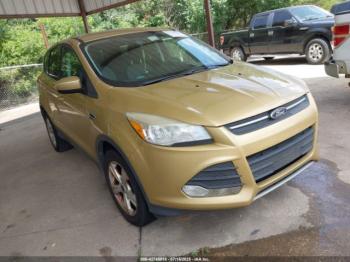  Salvage Ford Escape