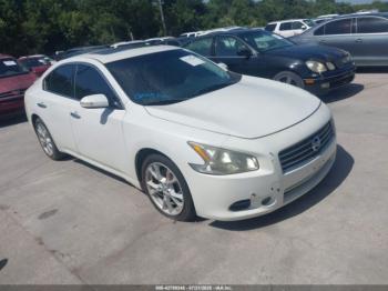 Salvage Nissan Maxima