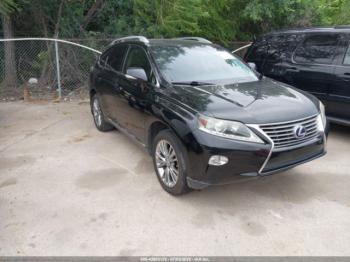  Salvage Lexus RX