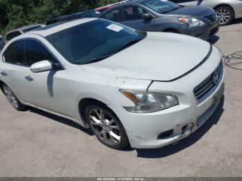 Salvage Nissan Maxima