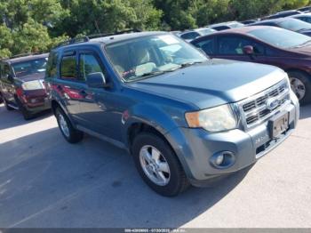  Salvage Ford Escape
