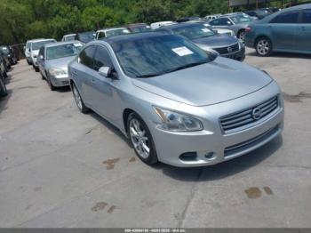  Salvage Nissan Maxima