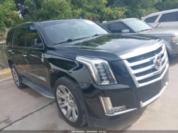  Salvage Cadillac Escalade