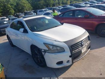  Salvage Nissan Maxima