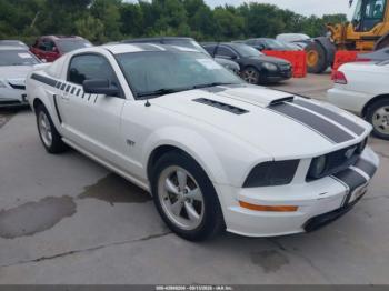  Salvage Ford Mustang