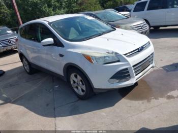  Salvage Ford Escape