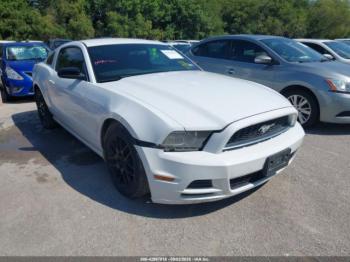  Salvage Ford Mustang