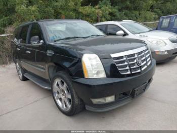  Salvage Cadillac Escalade