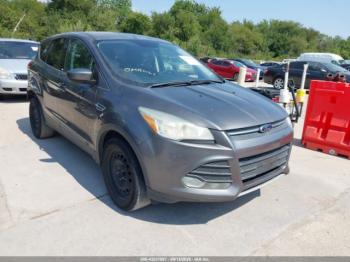  Salvage Ford Escape