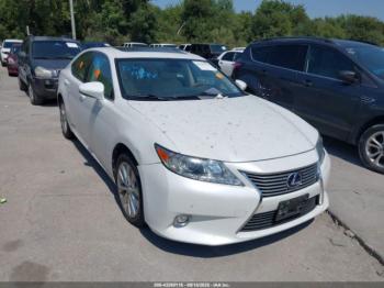  Salvage Lexus Es