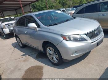  Salvage Lexus RX