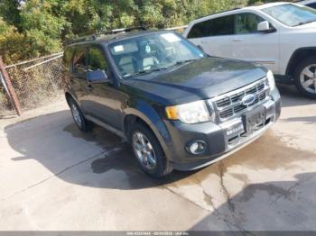  Salvage Ford Escape