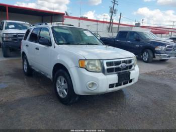  Salvage Ford Escape