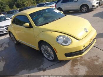  Salvage Volkswagen Beetle