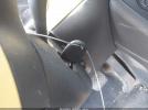 Volkswagen Beetle 2.5l Image 3