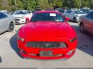 Ford Mustang Ecoboost Image 10